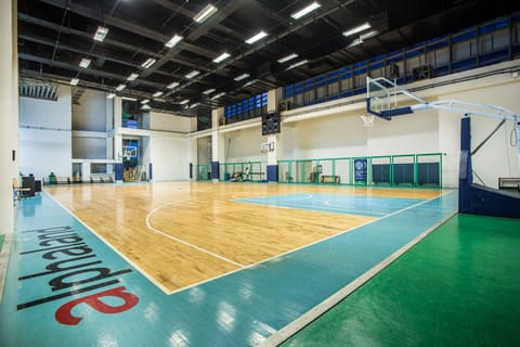 Basketball court