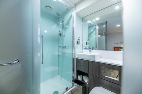 Double Room with Window | Bathroom | Shower, free toiletries, towels