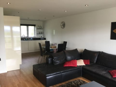 Apartment | Living area | Flat-screen TV, DVD player