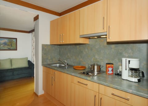 Standard Apartment, Annex Building | Private kitchen