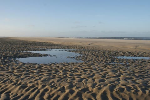 On the beach