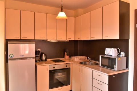 Apartment, 1 Bedroom | Private kitchen | Fridge, microwave, oven, stovetop