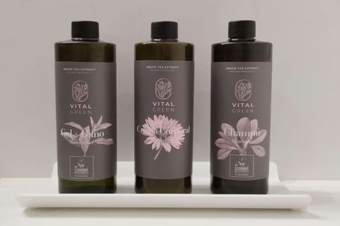 Eco-friendly toiletries, hair dryer, towels