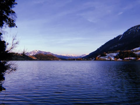 Land view from property