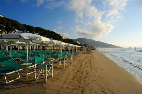 Sun loungers, beach umbrellas, beach towels