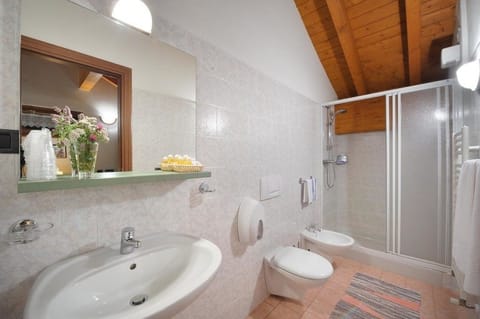 Shower, free toiletries, hair dryer, bidet