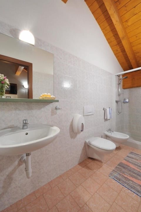 Shower, free toiletries, hair dryer, bidet