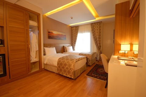 Standard Double Room | Minibar, in-room safe, desk, soundproofing