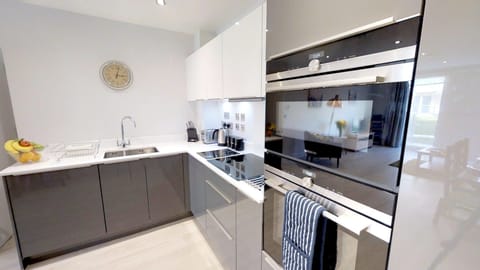 Apartment, 2 Double Beds, City View | Private kitchen | Fridge, microwave, oven, stovetop