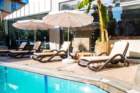 Outdoor pool, sun loungers