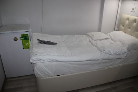 Double Room | Egyptian cotton sheets, premium bedding, down comforters, minibar