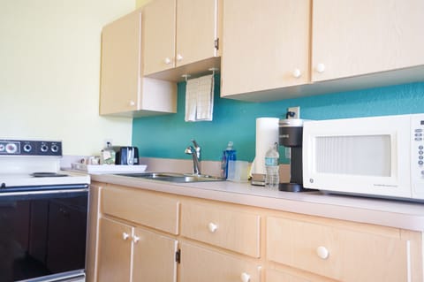 Family Apartment | Private kitchen | Full-size fridge, microwave, coffee/tea maker, toaster