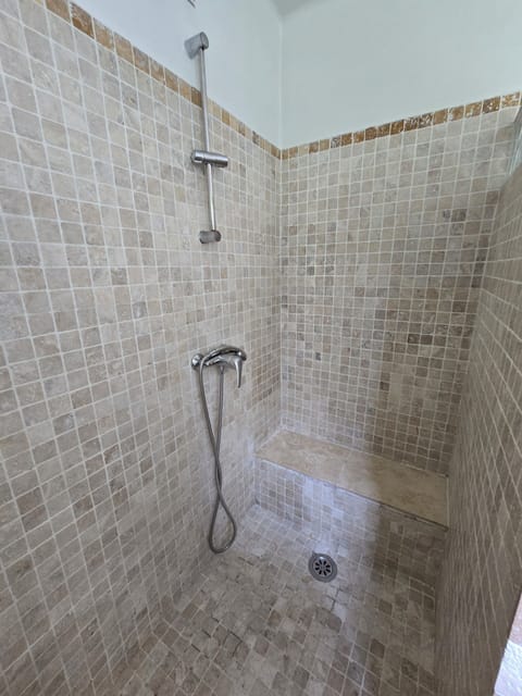 Classic Double Room | Bathroom | Shower, free toiletries, hair dryer, towels