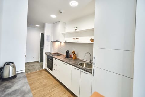 Superior Apartment, 2 Bedrooms | Private kitchen | Fridge, stovetop, dishwasher, coffee/tea maker