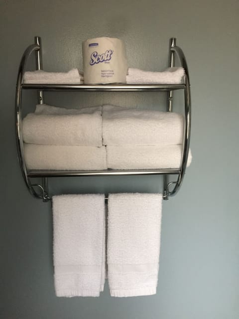 Combined shower/tub, free toiletries, hair dryer, towels