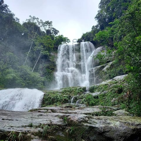 Hiking