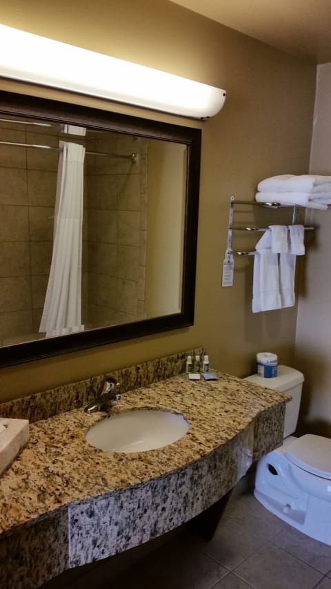 Combined shower/tub, free toiletries, hair dryer, towels