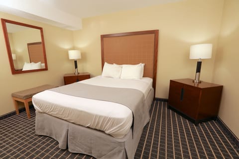 Deluxe Suite, 1 Queen Bed, Kitchenette | Desk, blackout drapes, iron/ironing board, free WiFi