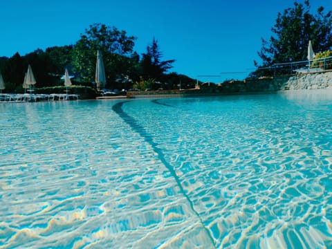 Outdoor pool, pool umbrellas, sun loungers