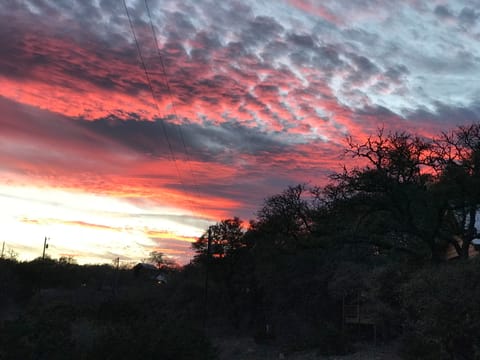 Cabin, Private Bathroom (The Milky Way Cabin) | View from room