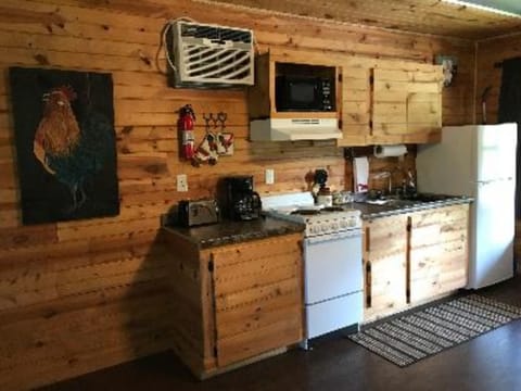 Full-size fridge, microwave, oven, stovetop