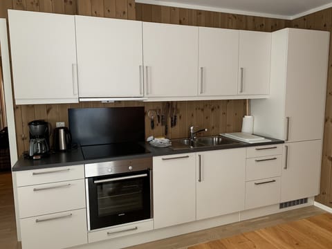 Apartment, 3 Bedrooms | Private kitchen | Full-size fridge, oven, stovetop, dishwasher