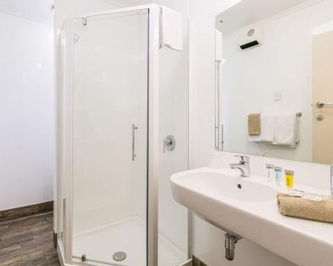 Business Room, 1 Bedroom | Bathroom | Shower, free toiletries, hair dryer, towels