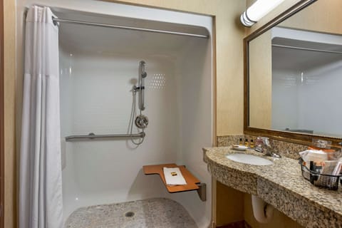 Combined shower/tub, free toiletries, hair dryer, towels