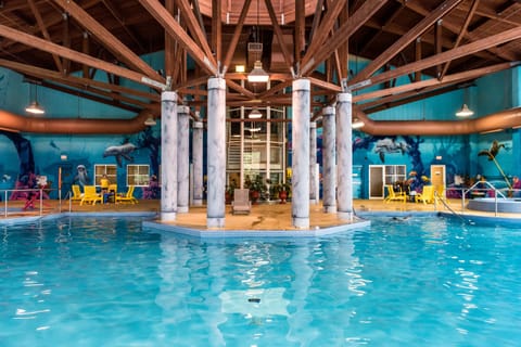 Indoor pool, 2 outdoor pools, sun loungers