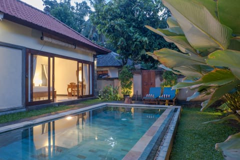 Outdoor pool, sun loungers