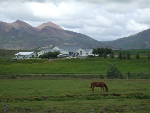 Horseback riding