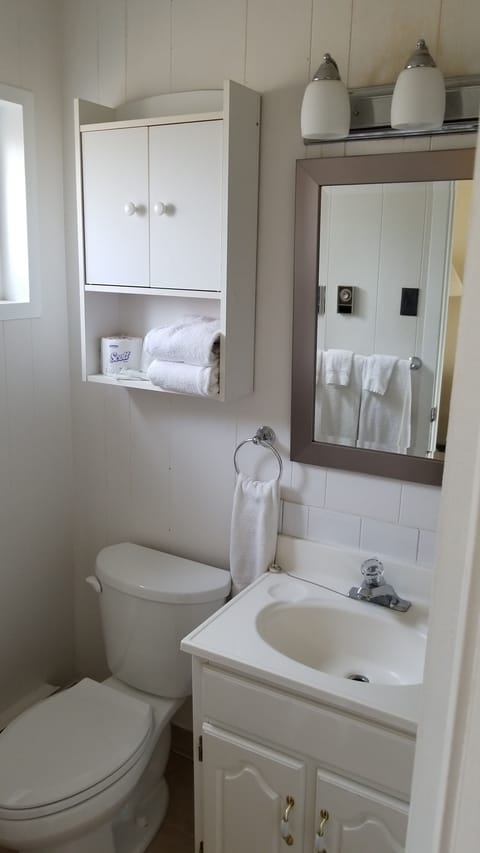 Combined shower/tub, free toiletries, hair dryer, towels