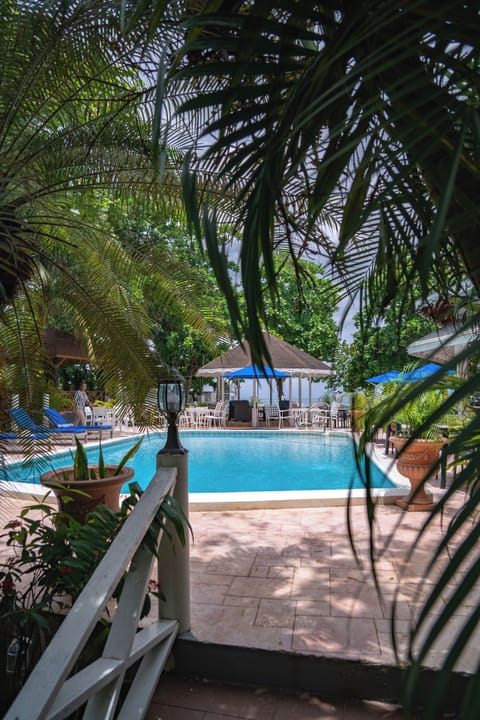 Outdoor pool, sun loungers