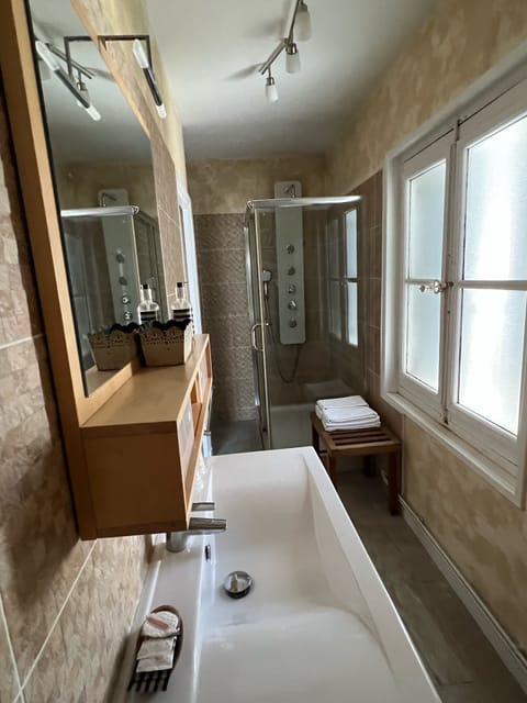 Double Room | Bathroom | Shower, hydromassage showerhead, free toiletries, hair dryer