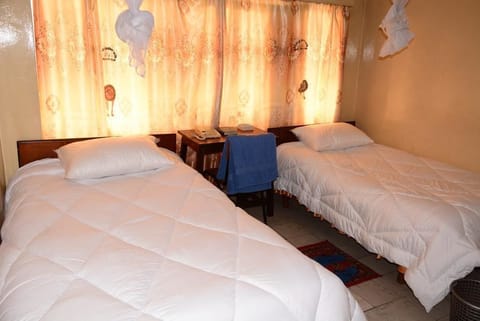 Standard Twin Room, 2 Twin Beds, Non Smoking | Desk, soundproofing, iron/ironing board, free WiFi