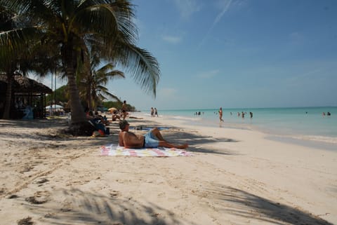 Beach nearby, white sand, beach shuttle, beach bar