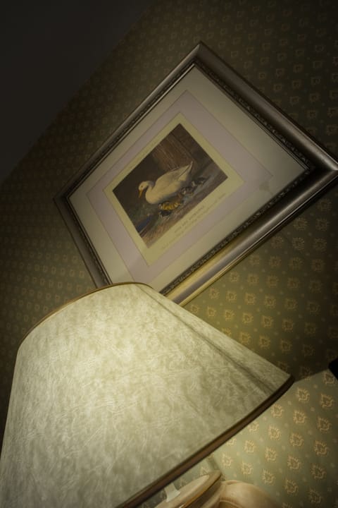 Premium bedding, in-room safe, individually decorated