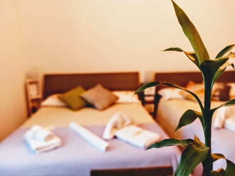 Superior Room, Shared Bathroom | Hypo-allergenic bedding, individually furnished, desk, laptop workspace