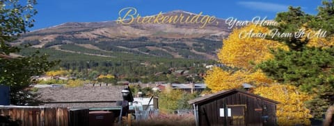 Basic Condo, 2 Bedrooms, Fireplace | Mountain view