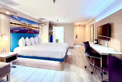 Standard Room, 1 King Bed, Smoking | Iron/ironing board, free cribs/infant beds, rollaway beds, free WiFi