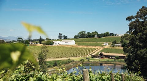 Land view from property