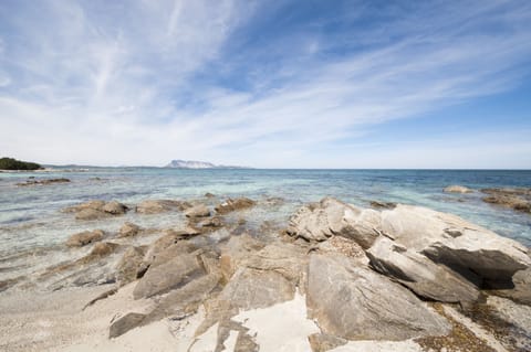 Beach nearby, beach bar