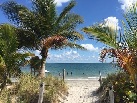 Private beach nearby, white sand, sun loungers