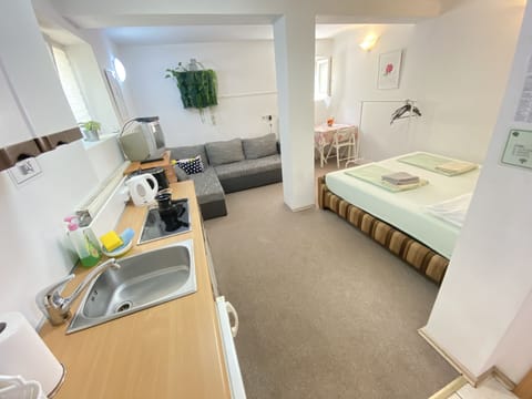 Economy Apartment | Iron/ironing board, free WiFi, bed sheets