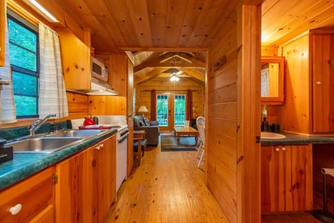 Cabin, Private Bathroom (Blue Ridge Mountains Cabin- No Breakfast, No Pets) | Private kitchen