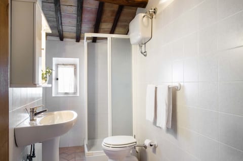 Shower, free toiletries, hair dryer, bidet