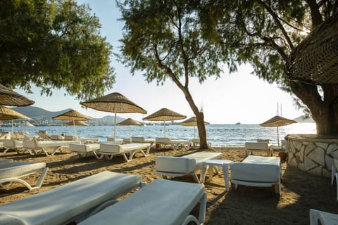 Private beach, sun loungers, beach umbrellas