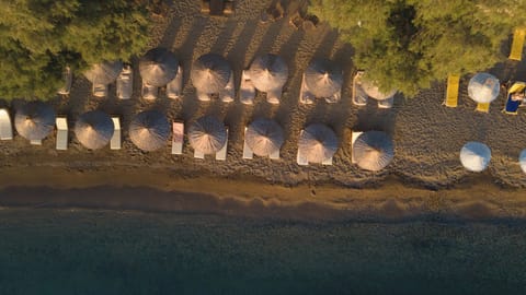 Private beach, sun loungers, beach umbrellas