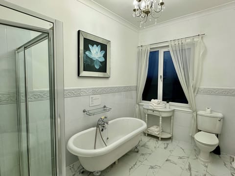 Deluxe Family Room (Room 2) | Bathroom | Free toiletries, towels