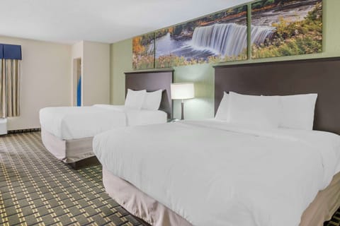 Standard Room, 2 Queen Beds, Non Smoking | Hypo-allergenic bedding, in-room safe, laptop workspace, blackout drapes